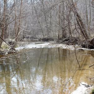 Photo of UNDER CONTRACT!  53.75 Acres of Hunting and Recreational Land For Sale in Lunenburg County VA!