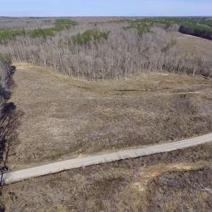 Photo of UNDER CONTRACT!  53.75 Acres of Hunting and Recreational Land For Sale in Lunenburg County VA!