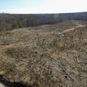 Photo of UNDER CONTRACT!  53.75 Acres of Hunting and Recreational Land For Sale in Lunenburg County VA!