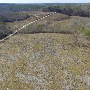 Photo of UNDER CONTRACT!  53.75 Acres of Hunting and Recreational Land For Sale in Lunenburg County VA!