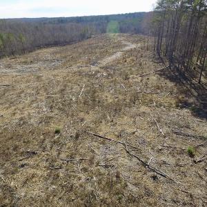 Photo of UNDER CONTRACT!  53.75 Acres of Hunting and Recreational Land For Sale in Lunenburg County VA!