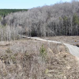 Photo of UNDER CONTRACT!  53.75 Acres of Hunting and Recreational Land For Sale in Lunenburg County VA!