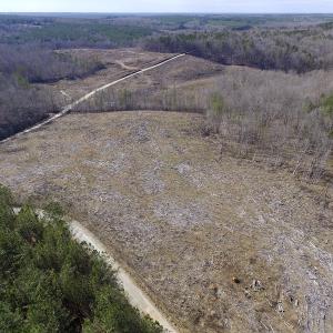 Photo of UNDER CONTRACT!  53.75 Acres of Hunting and Recreational Land For Sale in Lunenburg County VA!