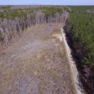 Photo of UNDER CONTRACT!  53.75 Acres of Hunting and Recreational Land For Sale in Lunenburg County VA!