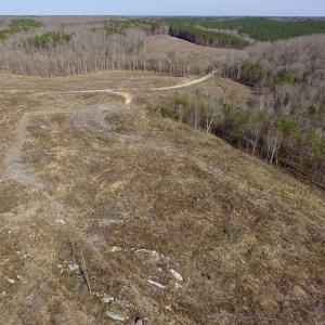 Photo of UNDER CONTRACT!  53.75 Acres of Hunting and Recreational Land For Sale in Lunenburg County VA!