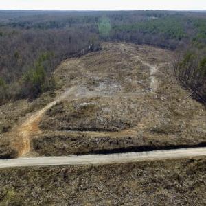 Photo of UNDER CONTRACT!  53.75 Acres of Hunting and Recreational Land For Sale in Lunenburg County VA!