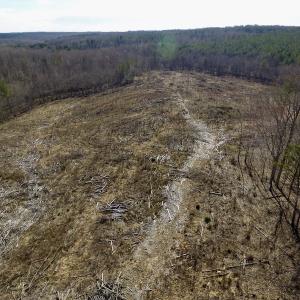 Photo of UNDER CONTRACT!  53.75 Acres of Hunting and Recreational Land For Sale in Lunenburg County VA!