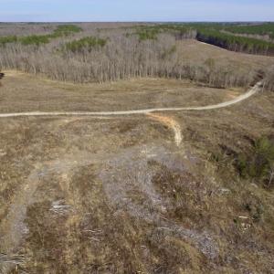 Photo of UNDER CONTRACT!  53.75 Acres of Hunting and Recreational Land For Sale in Lunenburg County VA!