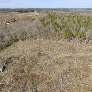 Photo of UNDER CONTRACT!  53.75 Acres of Hunting and Recreational Land For Sale in Lunenburg County VA!