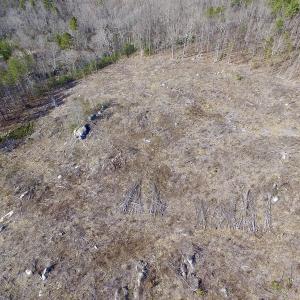 Photo of UNDER CONTRACT!  53.75 Acres of Hunting and Recreational Land For Sale in Lunenburg County VA!