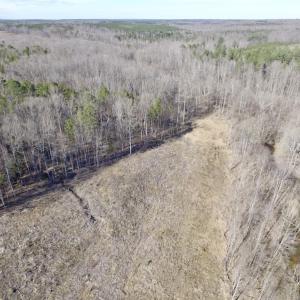 Photo of UNDER CONTRACT!  53.75 Acres of Hunting and Recreational Land For Sale in Lunenburg County VA!