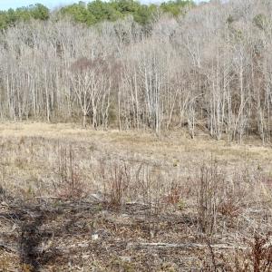 Photo of UNDER CONTRACT!  53.75 Acres of Hunting and Recreational Land For Sale in Lunenburg County VA!