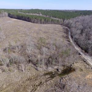 Photo of UNDER CONTRACT!  53.75 Acres of Hunting and Recreational Land For Sale in Lunenburg County VA!