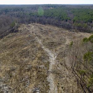 Photo of UNDER CONTRACT!  53.75 Acres of Hunting and Recreational Land For Sale in Lunenburg County VA!