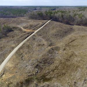 Photo of UNDER CONTRACT!  53.75 Acres of Hunting and Recreational Land For Sale in Lunenburg County VA!