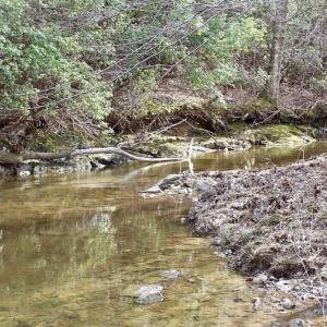 Photo of UNDER CONTRACT!  53.75 Acres of Hunting and Recreational Land For Sale in Lunenburg County VA!
