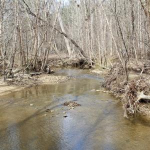 Photo of UNDER CONTRACT!  53.75 Acres of Hunting and Recreational Land For Sale in Lunenburg County VA!
