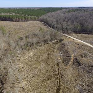 Photo of UNDER CONTRACT!  53.75 Acres of Hunting and Recreational Land For Sale in Lunenburg County VA!