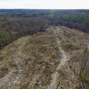 Photo of UNDER CONTRACT!  53.75 Acres of Hunting and Recreational Land For Sale in Lunenburg County VA!