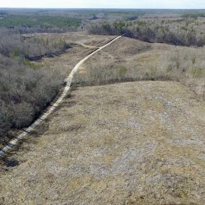 Photo of UNDER CONTRACT!  53.75 Acres of Hunting and Recreational Land For Sale in Lunenburg County VA!