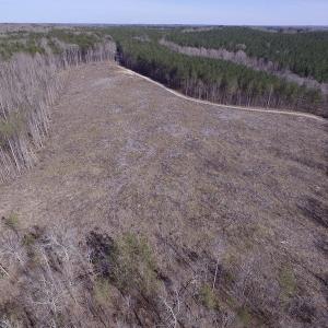 Photo of UNDER CONTRACT!  53.75 Acres of Hunting and Recreational Land For Sale in Lunenburg County VA!