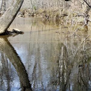 Photo of UNDER CONTRACT!  53.75 Acres of Hunting and Recreational Land For Sale in Lunenburg County VA!
