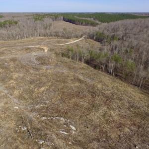 Photo of UNDER CONTRACT!  53.75 Acres of Hunting and Recreational Land For Sale in Lunenburg County VA!