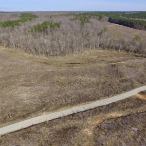 Photo of UNDER CONTRACT!  53.75 Acres of Hunting and Recreational Land For Sale in Lunenburg County VA!