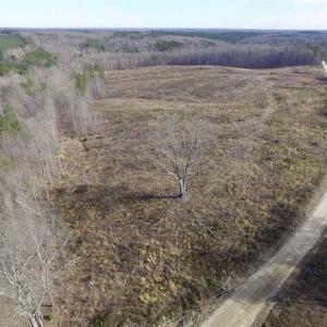 Photo of SOLD!  44.5 Acres of Hunting and Recreational Land For Sale in Lunenburg County VA!