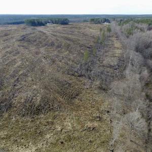 Photo of SOLD!  44.5 Acres of Hunting and Recreational Land For Sale in Lunenburg County VA!