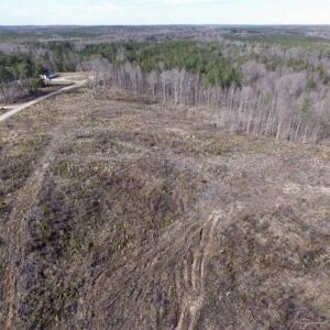 Photo of SOLD!  44.5 Acres of Hunting and Recreational Land For Sale in Lunenburg County VA!