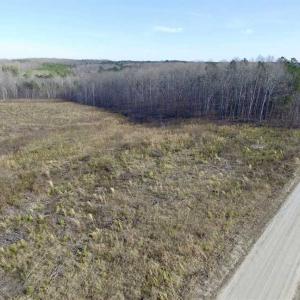 Photo of SOLD!  44.5 Acres of Hunting and Recreational Land For Sale in Lunenburg County VA!