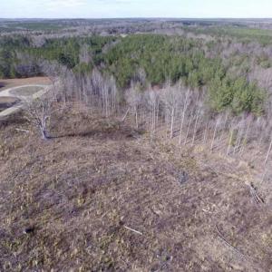 Photo of SOLD!  44.5 Acres of Hunting and Recreational Land For Sale in Lunenburg County VA!