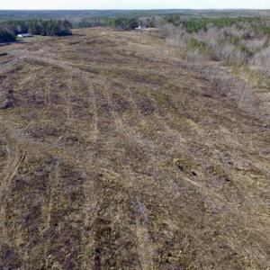 Photo of SOLD!  44.5 Acres of Hunting and Recreational Land For Sale in Lunenburg County VA!