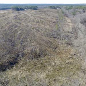 Photo of SOLD!  44.5 Acres of Hunting and Recreational Land For Sale in Lunenburg County VA!