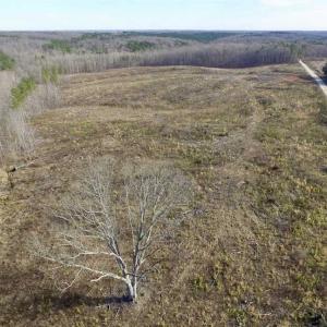 Photo of SOLD!  44.5 Acres of Hunting and Recreational Land For Sale in Lunenburg County VA!