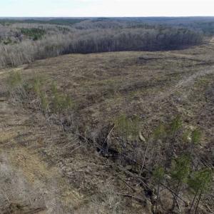 Photo of SOLD!  44.5 Acres of Hunting and Recreational Land For Sale in Lunenburg County VA!