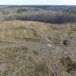 Photo of SOLD!  44.5 Acres of Hunting and Recreational Land For Sale in Lunenburg County VA!
