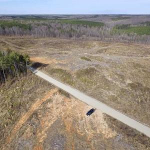 Photo of SOLD!  44.5 Acres of Hunting and Recreational Land For Sale in Lunenburg County VA!