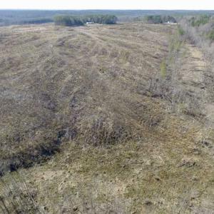 Photo of SOLD!  44.5 Acres of Hunting and Recreational Land For Sale in Lunenburg County VA!