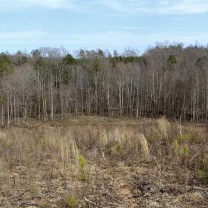 Photo of SOLD!  44.5 Acres of Hunting and Recreational Land For Sale in Lunenburg County VA!