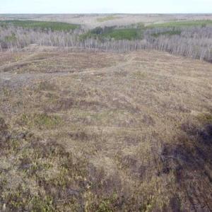 Photo of SOLD!  44.5 Acres of Hunting and Recreational Land For Sale in Lunenburg County VA!