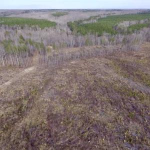 Photo of SOLD!  44.5 Acres of Hunting and Recreational Land For Sale in Lunenburg County VA!