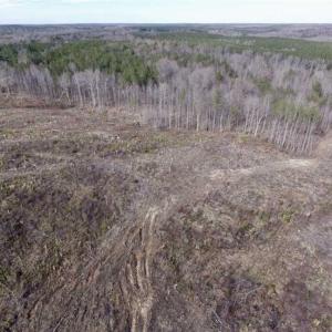 Photo of SOLD!  44.5 Acres of Hunting and Recreational Land For Sale in Lunenburg County VA!