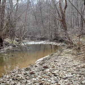 Photo of SOLD!  44.5 Acres of Hunting and Recreational Land For Sale in Lunenburg County VA!