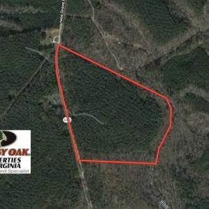 Photo of SOLD!  44.5 Acres of Hunting and Recreational Land For Sale in Lunenburg County VA!