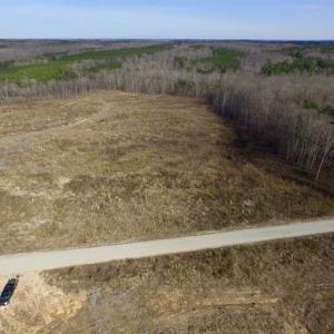 Photo of SOLD!  44.5 Acres of Hunting and Recreational Land For Sale in Lunenburg County VA!