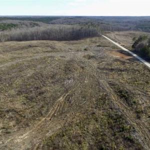 Photo of SOLD!  44.5 Acres of Hunting and Recreational Land For Sale in Lunenburg County VA!