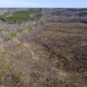 Photo of SOLD!  44.5 Acres of Hunting and Recreational Land For Sale in Lunenburg County VA!