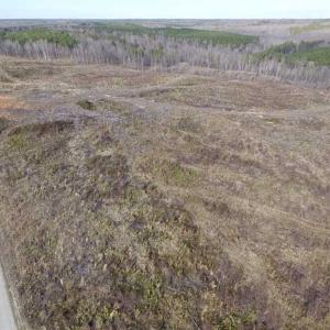 Photo of SOLD!  44.5 Acres of Hunting and Recreational Land For Sale in Lunenburg County VA!